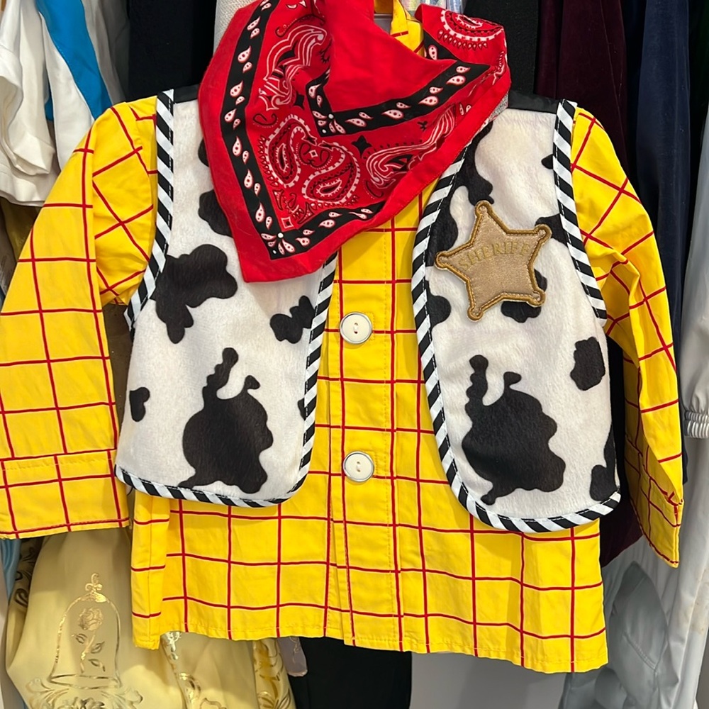 Woody Costume Like New